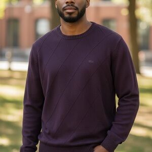 IZOD Men's size Large Dark Purple Cotton Diamond pullover Crewneck Sweater
